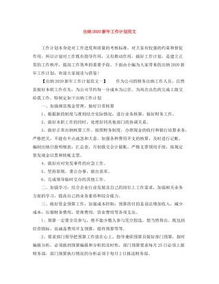 出纳新年工作计划范文 