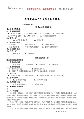 大型商业地产项目策划分析