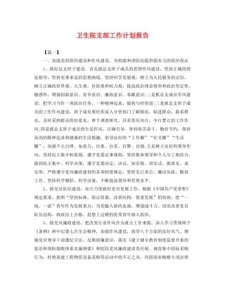 卫生院支部工作计划报告 
