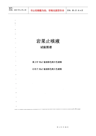 岩果汁咳液质量标准提高资料电子版
