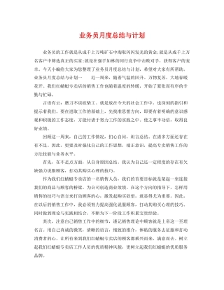 业务员月度总结与计划 