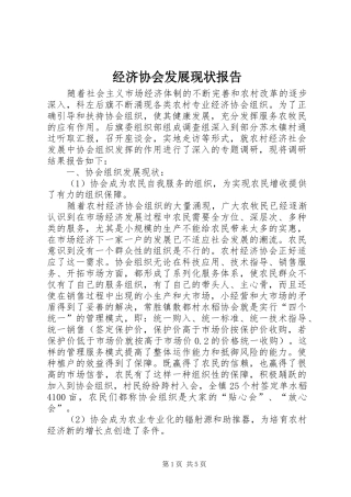 经济协会发展现状报告