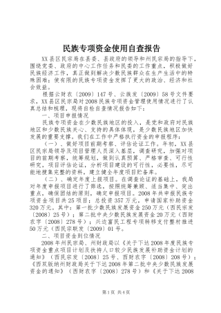 民族专项资金使用自查报告