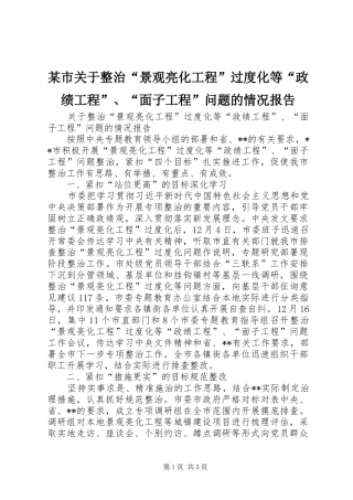 某市关于整治“景观亮化工程”过度化等“政绩工程”、“面子工程”问题的情况报告