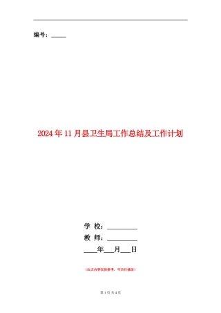 2024年11月县卫生局工作总结及工作计划