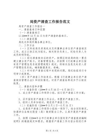 局资产清查工作报告范文