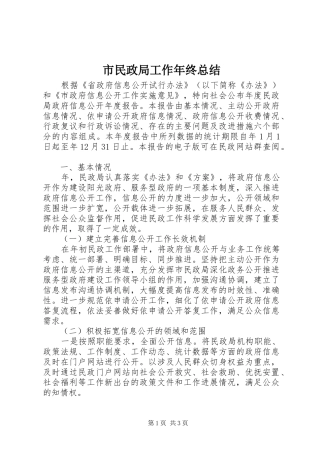 市民政局工作年终总结
