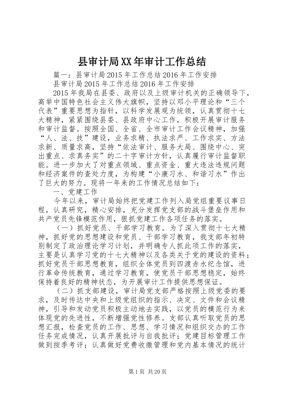 县审计局XX年审计工作总结_第1页