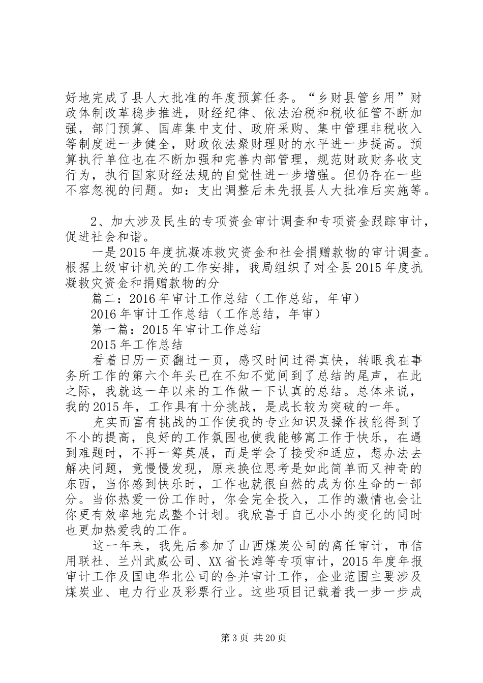 县审计局XX年审计工作总结_第3页