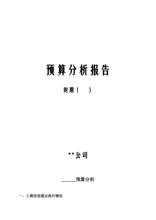 预算分析报告