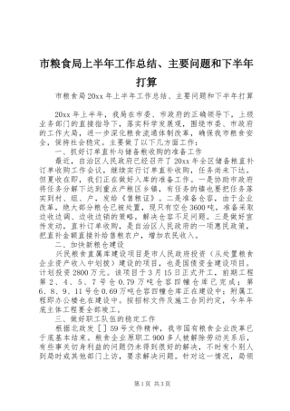 市粮食局上半年工作总结、主要问题和下半年打算