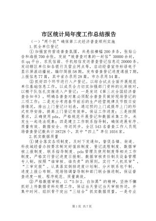 市区统计局年度工作总结报告