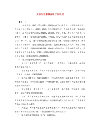 大学生志愿服务队工作计划 