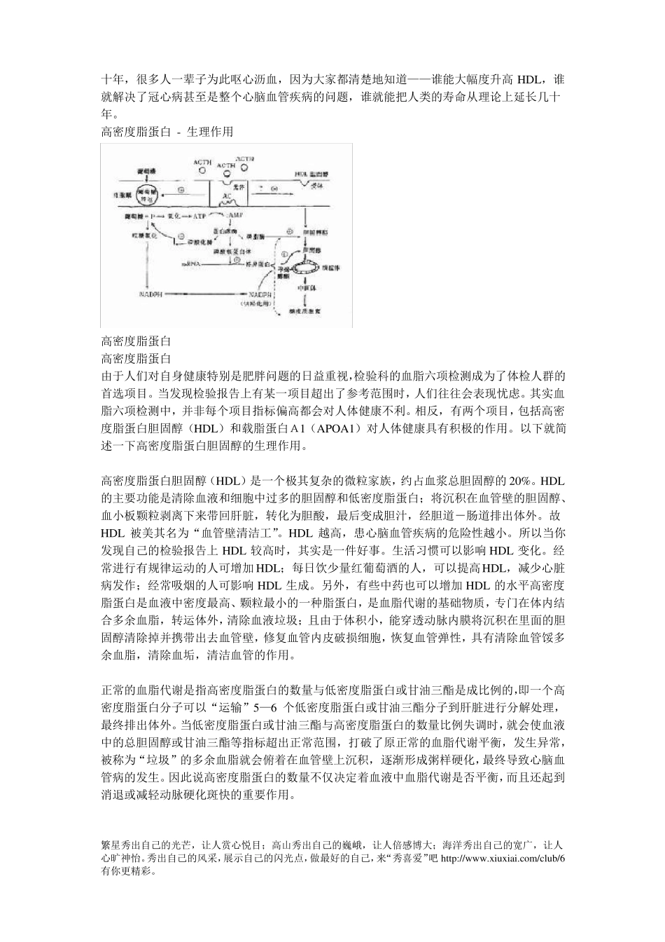 高密度脂蛋白_第3页