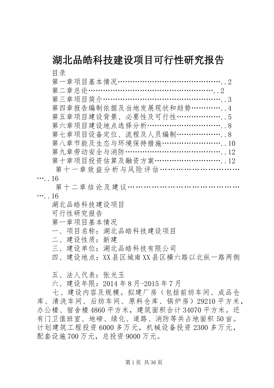 湖北品皓科技建设项目可行性研究报告_第1页