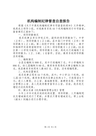 机构编制纪律督查自查报告