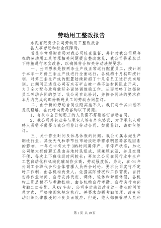 劳动用工整改报告