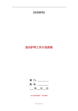 急诊护师工作计划表格