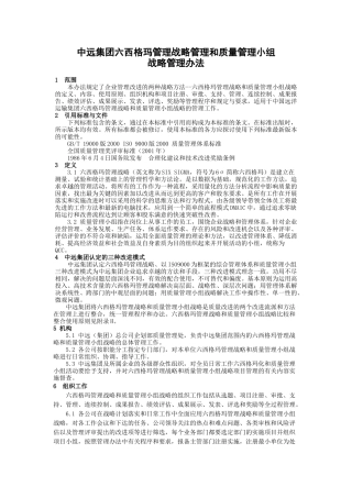 中远集团六西格玛管理战略管理和质量管理小组