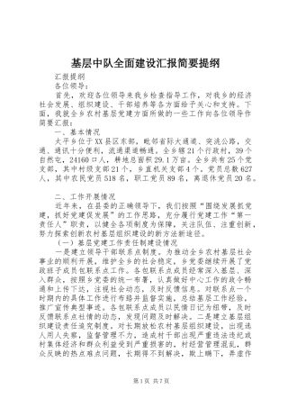 基层中队全面建设汇报简要提纲