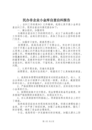 民办非企业小金库自查自纠报告