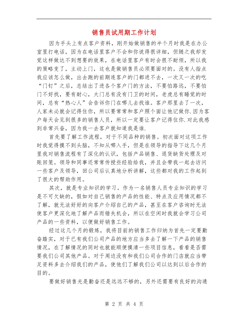 销售员试用期工作计划_第2页
