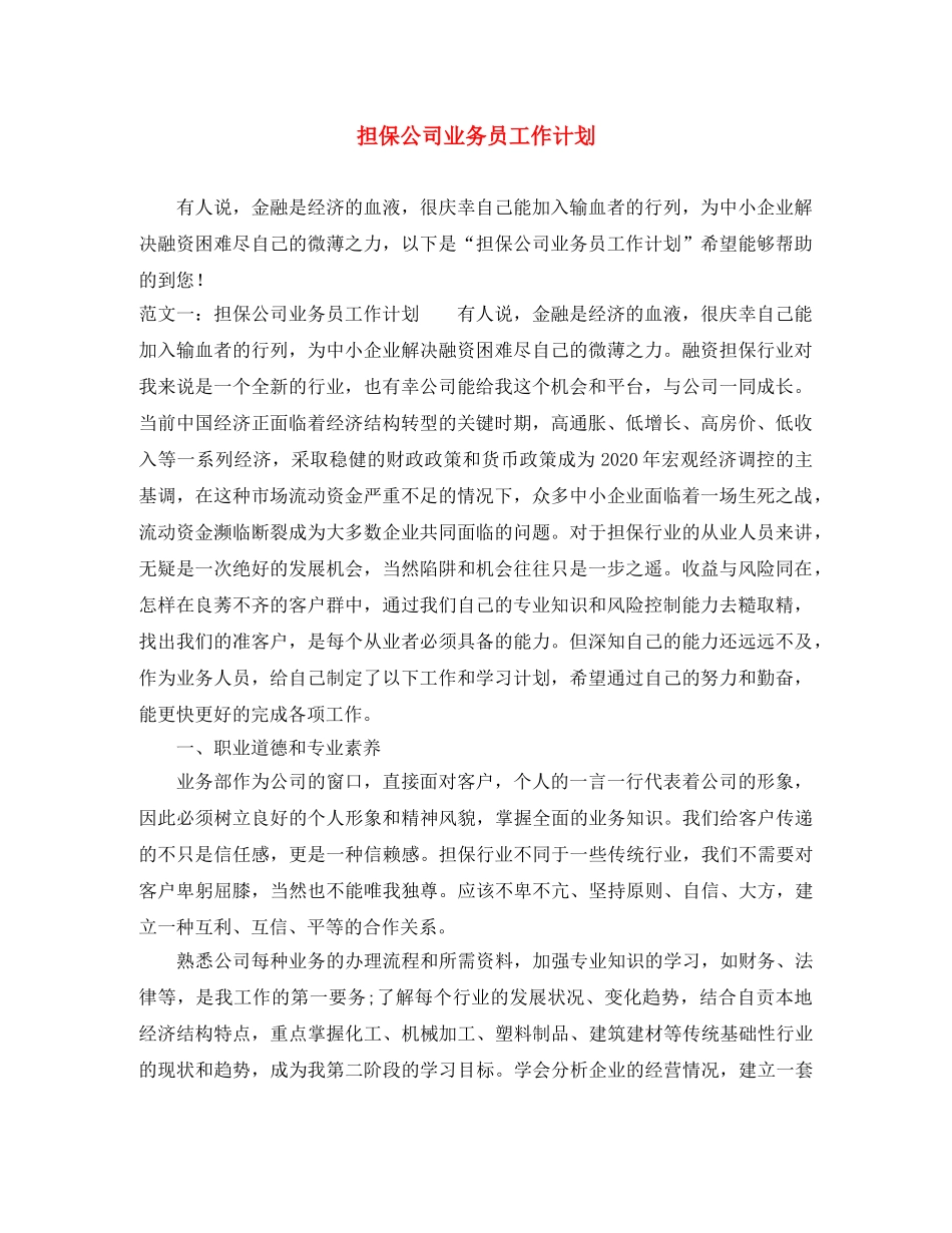 担保公司业务员工作计划 _第1页