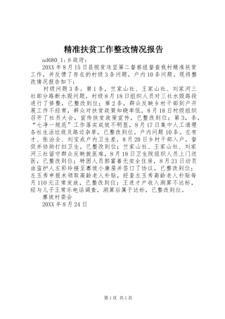 精准扶贫工作整改情况报告