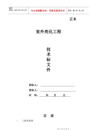 户外亮化工程技术标范本