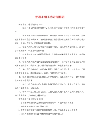护理小组工作计划报告 