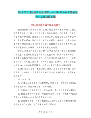 2024年公司出纳工作总结范文与2024年公司分管领导个人工作总结汇编