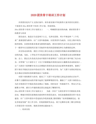 团员骨干培训工作计划 