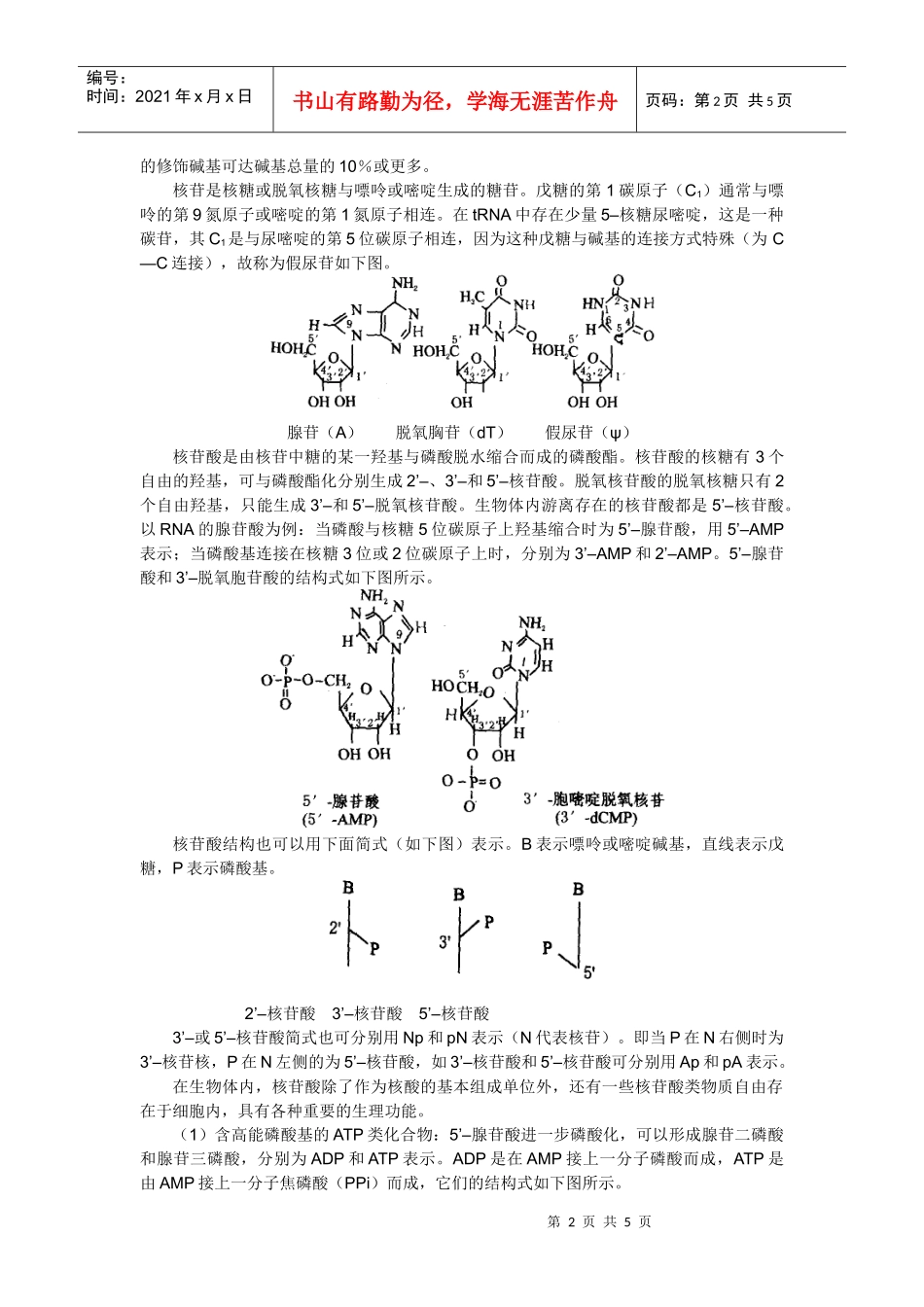 核酸的结构与生物学功能_第2页