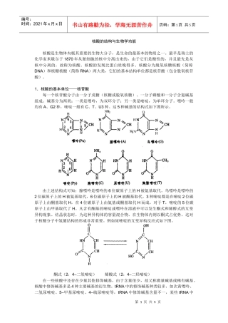 核酸的结构与生物学功能