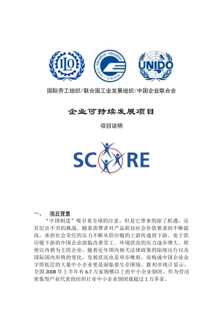 中小企业可持续发展(score)项目简介