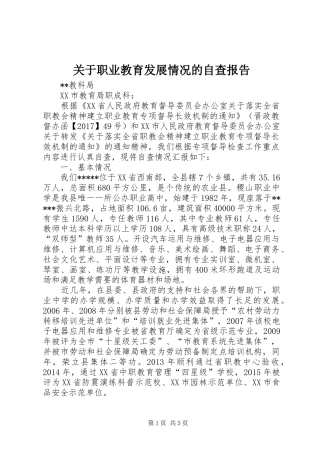 关于职业教育发展情况的自查报告