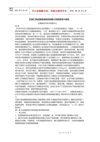 玉溪汇溪金属铸造制品有限公司能源审计报告