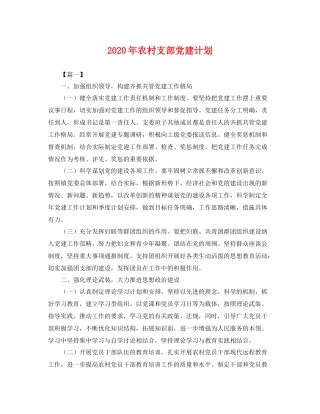 2020年农村支部党建计划 