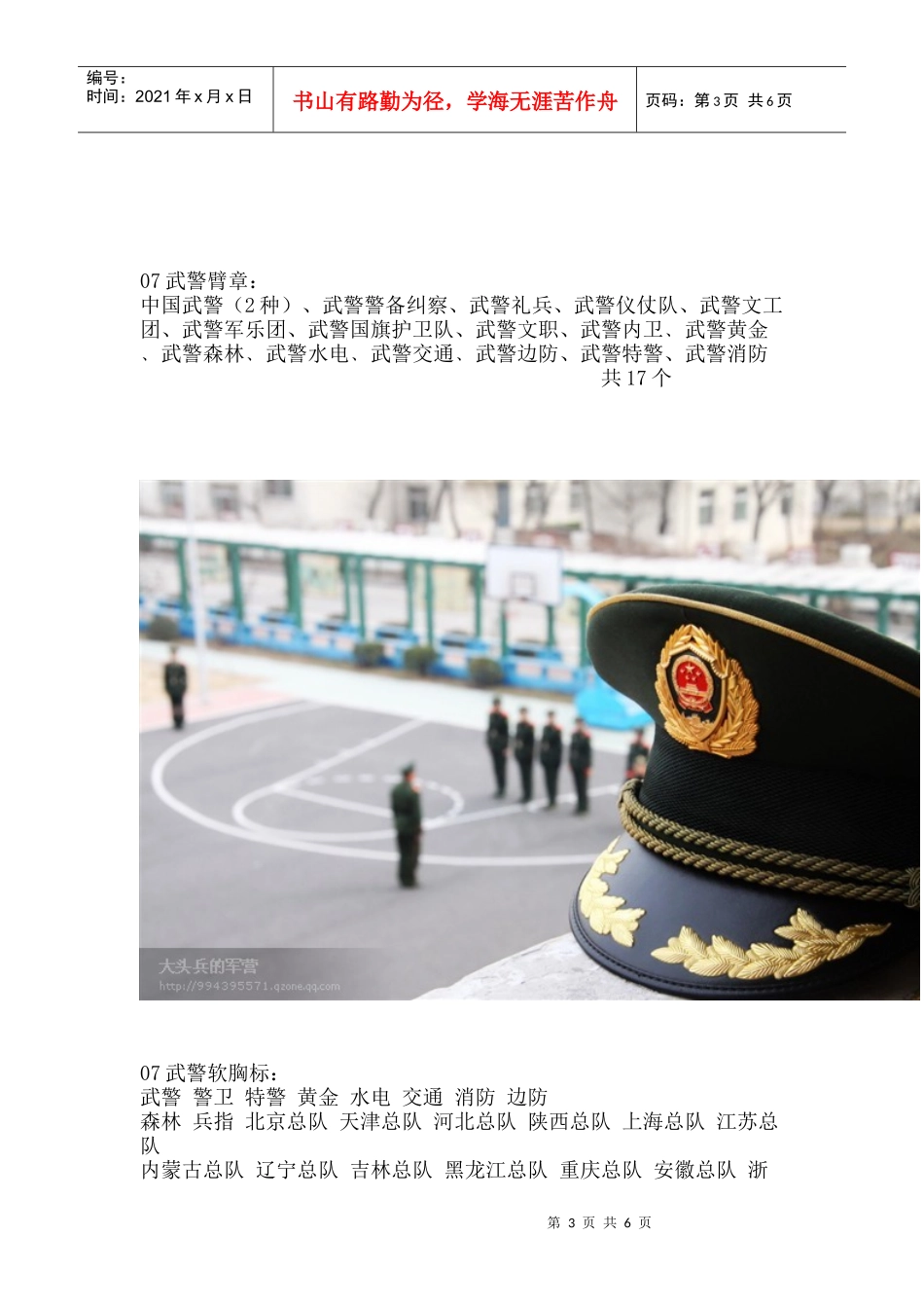 武警服装警衔臂章胸标_第3页