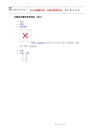 武警服装警衔臂章胸标