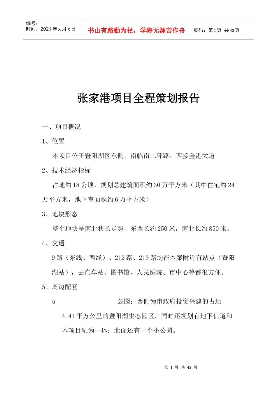 某某地产项目全程策划报告分析_第1页