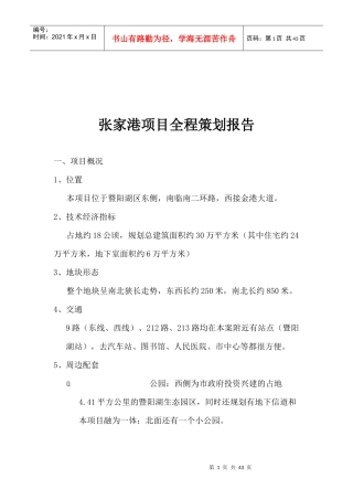 某某地产项目全程策划报告分析