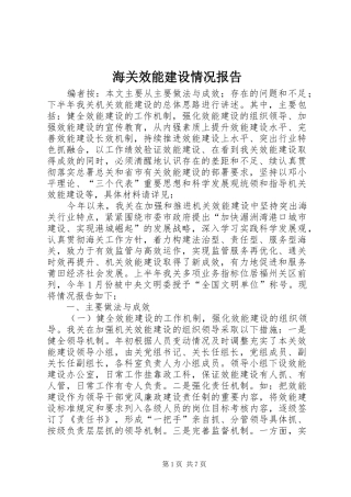 海关效能建设情况报告