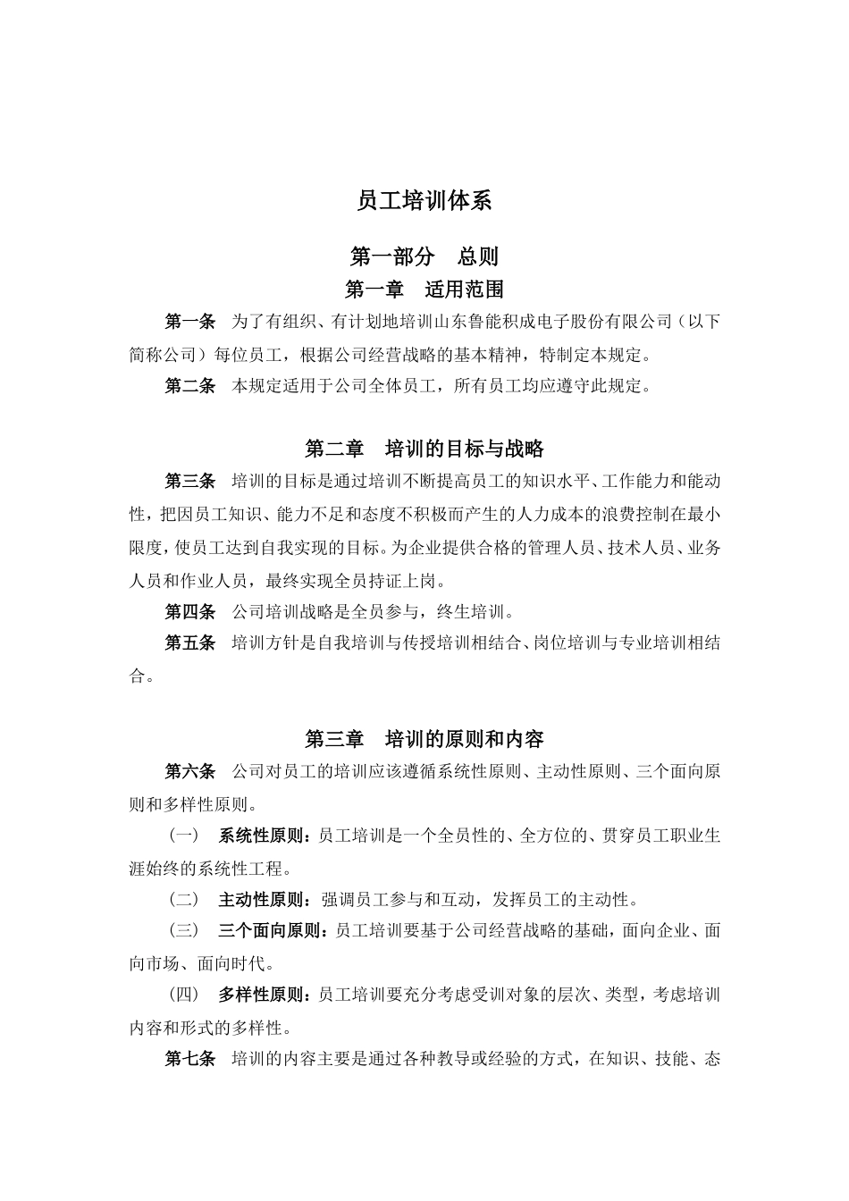 某某电子公司员工培训体系_第1页