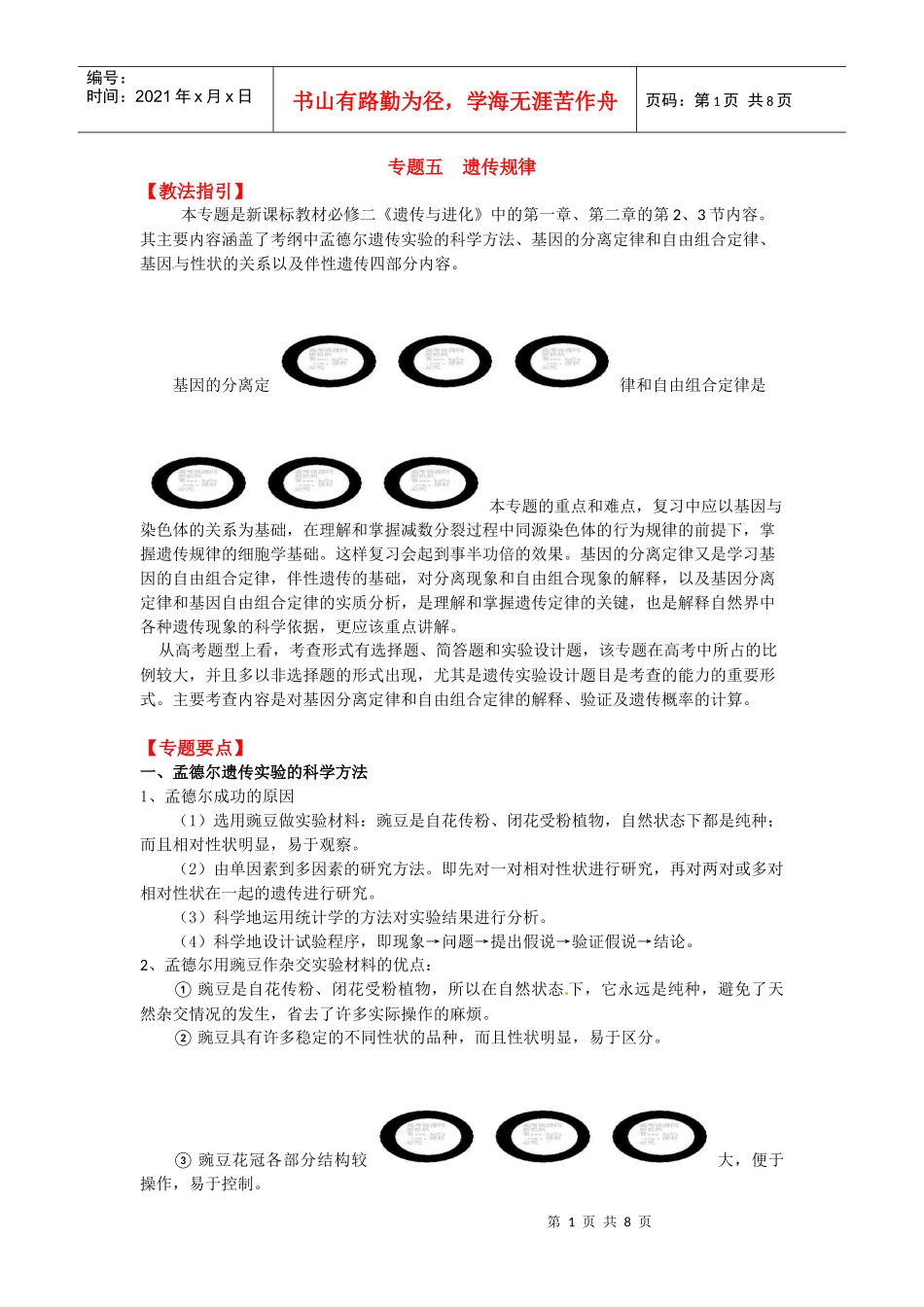 生物二轮复习专题5--遗传规律_第1页