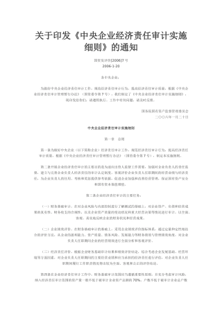 中央企业经济责任审计实施管理细则