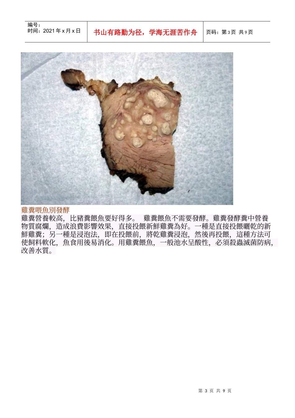 易粪而食的肉食者【生物链】_第3页