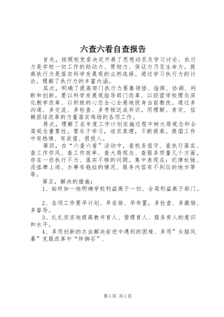 六查六看自查报告