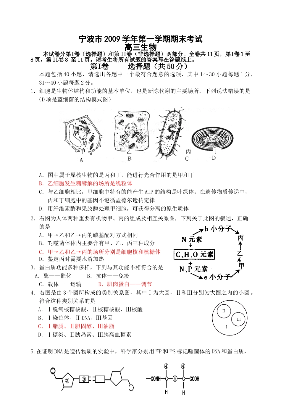 浙江省宁波市2010届高三上学期期末试题(生物)_第1页