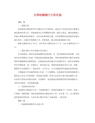 大学纪律部门工作计划 